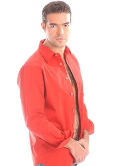poze - rubi - Pablo Montero